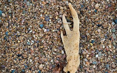 Tales from the Crypt: Don’t Smoke