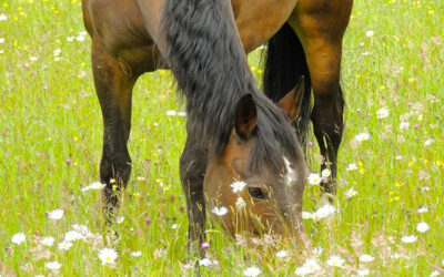 First day of Spring…