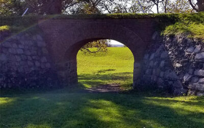 Goodness, So much has happened!