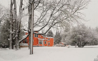 The Studio Gallery in Winter