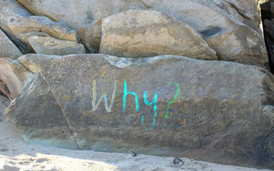 Welcome to Visienté